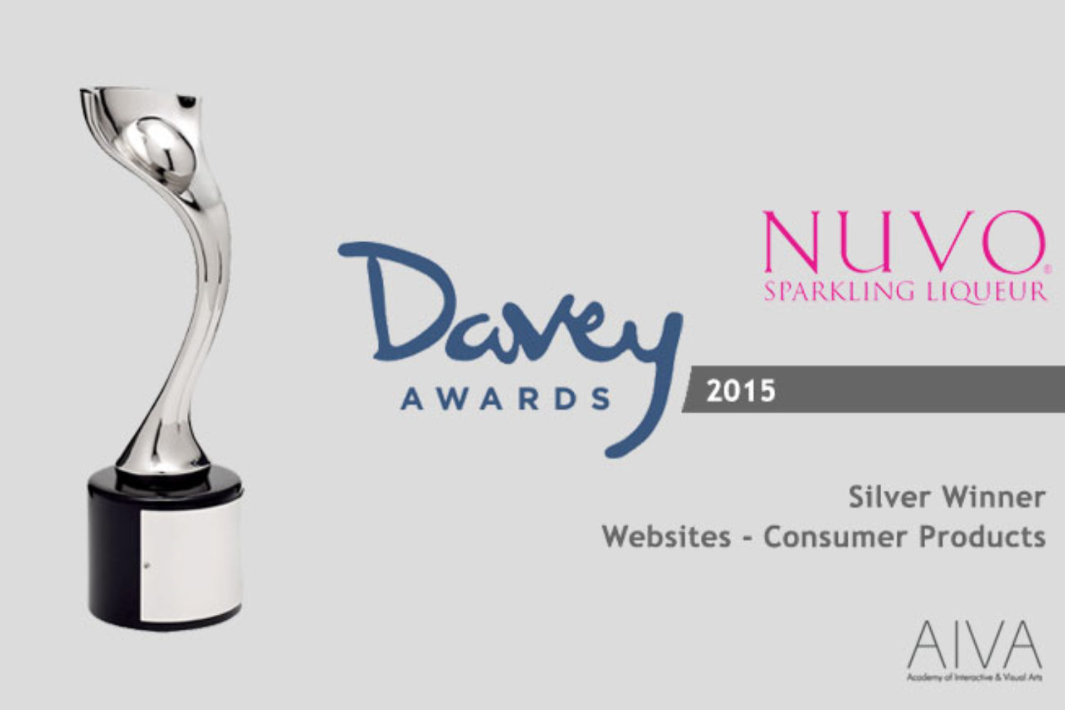 Website Design Award Winner