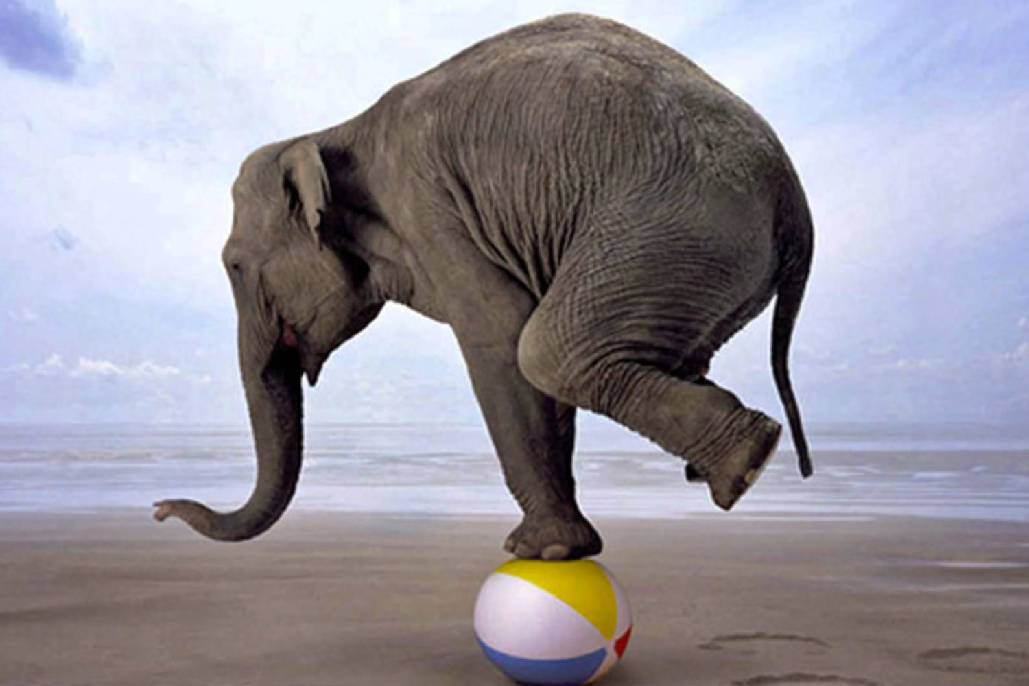 Your Guide to Local SEO for Small Businesses in NYC & Hudson Valley, NY