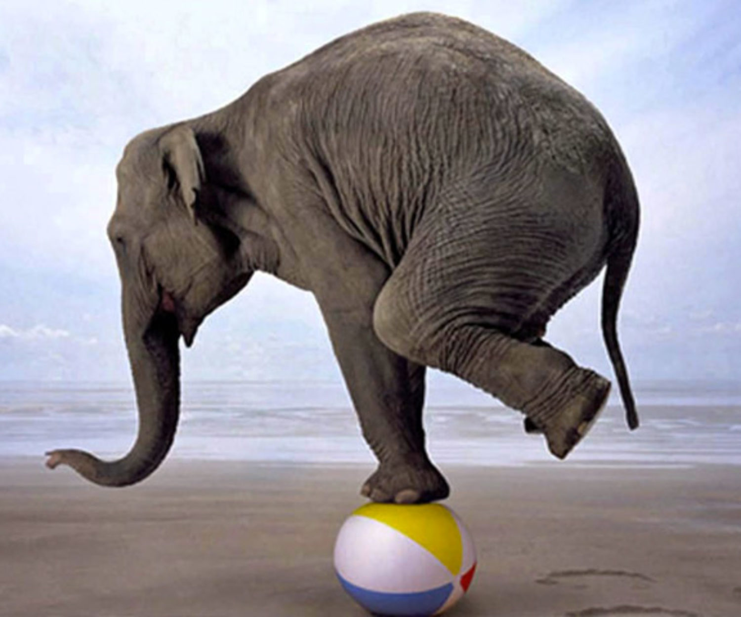 Your Guide to Local SEO for Small Businesses in NYC & Hudson Valley, NY