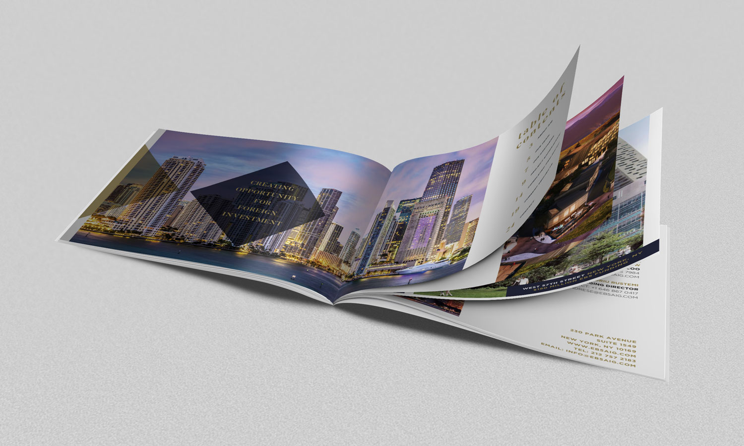Brochure layout design