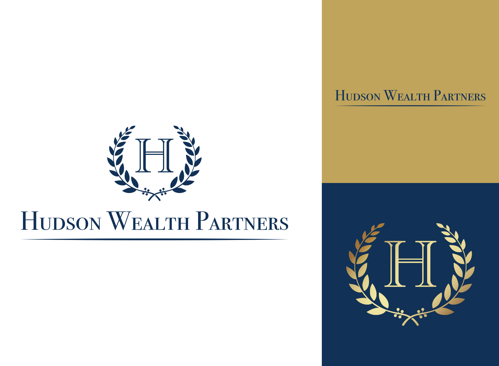 Logo system for wealth advisor logo design